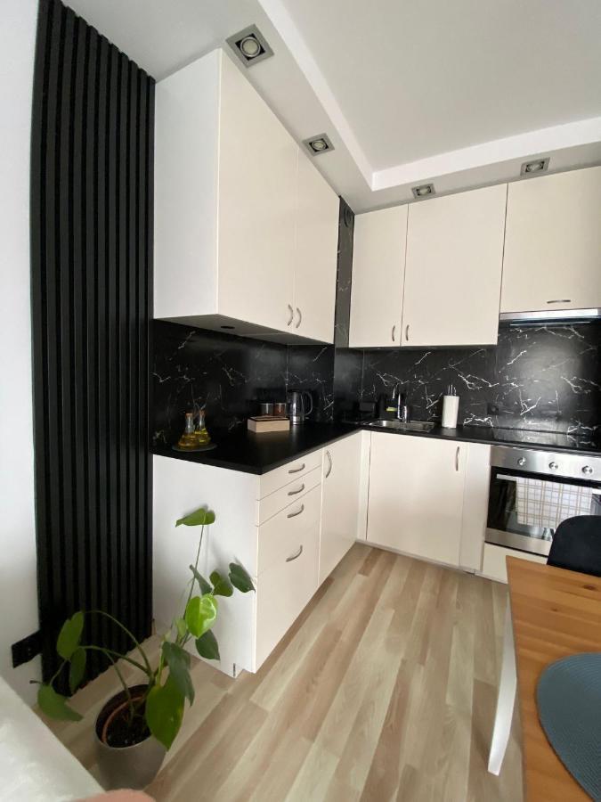Appartement Przytulne Mieszkanie W Krakowie *